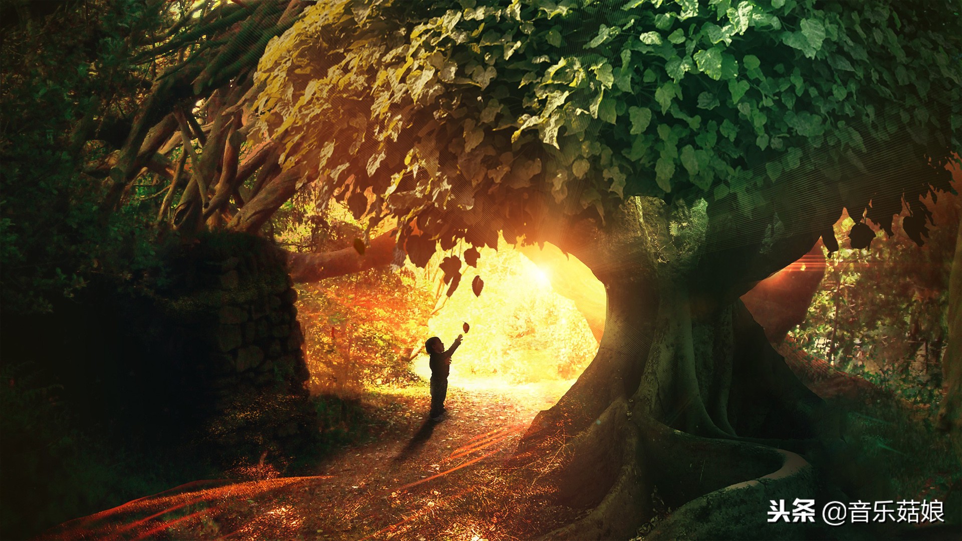 超好听轻音乐100首全集,超好听的7首轻音乐