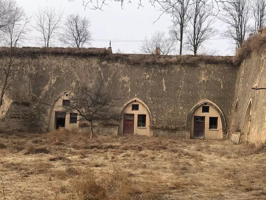 “西北奇葩”阳朵姥姥用报纸、碎布、树叶作画,惊艳!