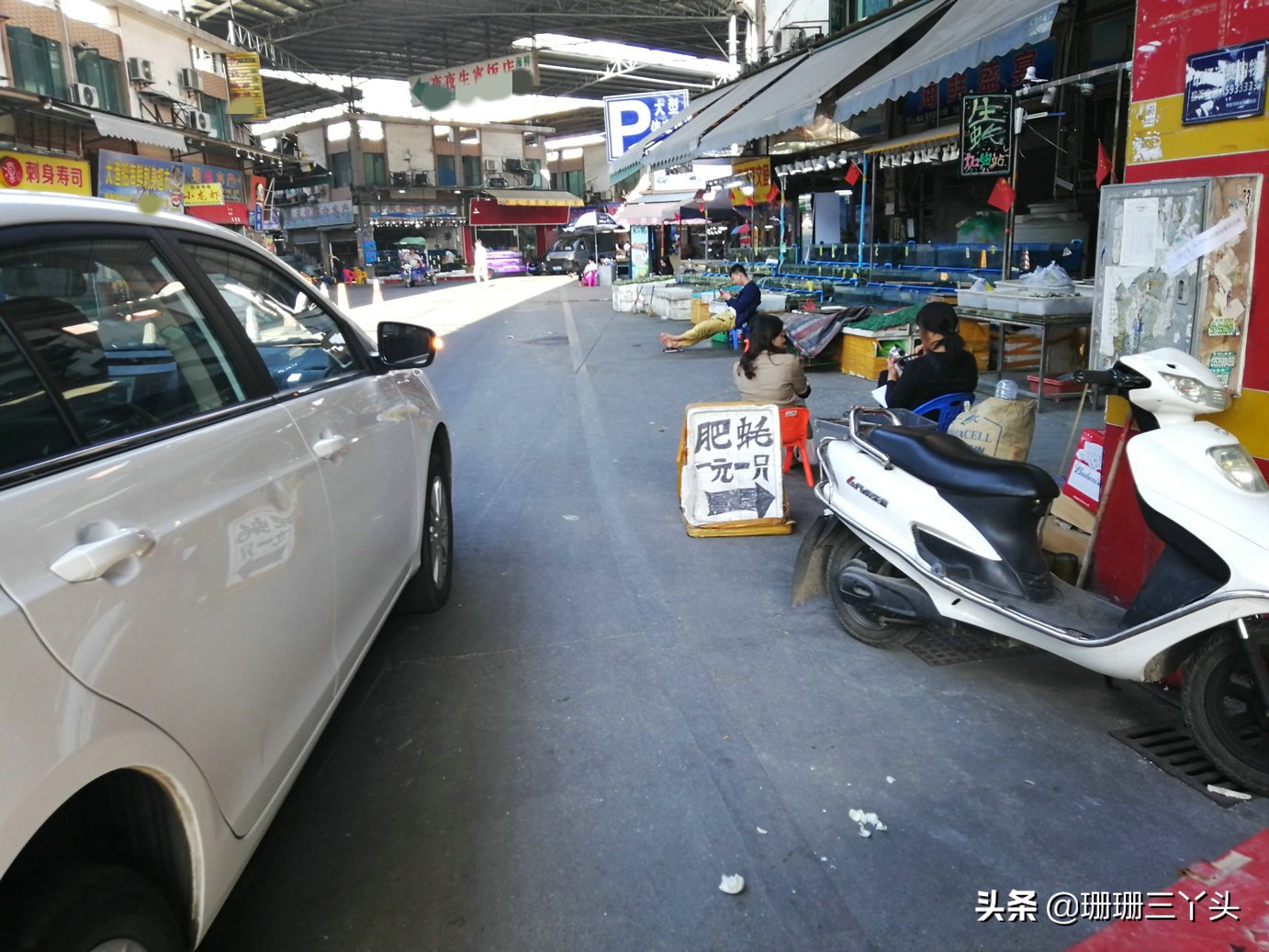 广州南沙生蚝最便宜海鲜市场,广州生蚝批发送货上门