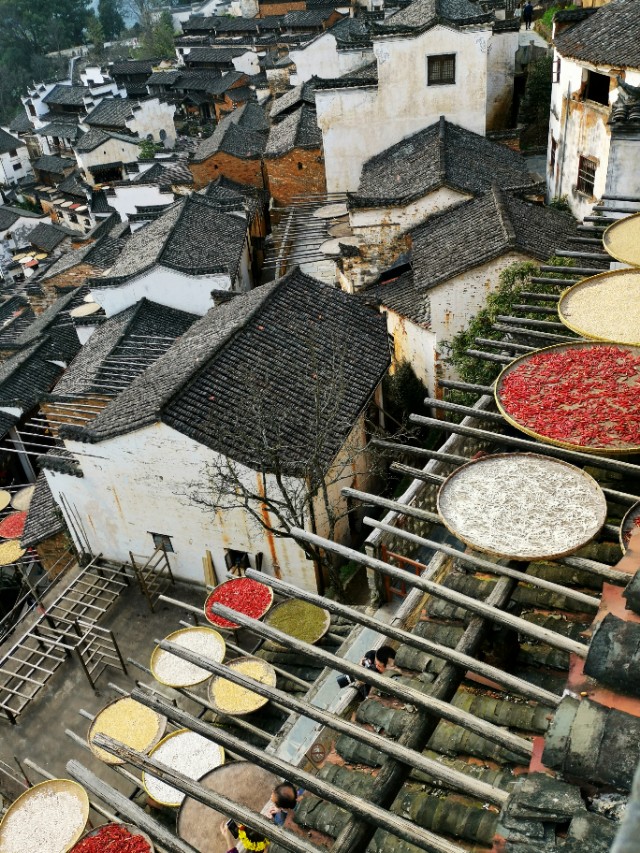春暖花开我在油菜花田等你,篁岭晒秋我听了风的话