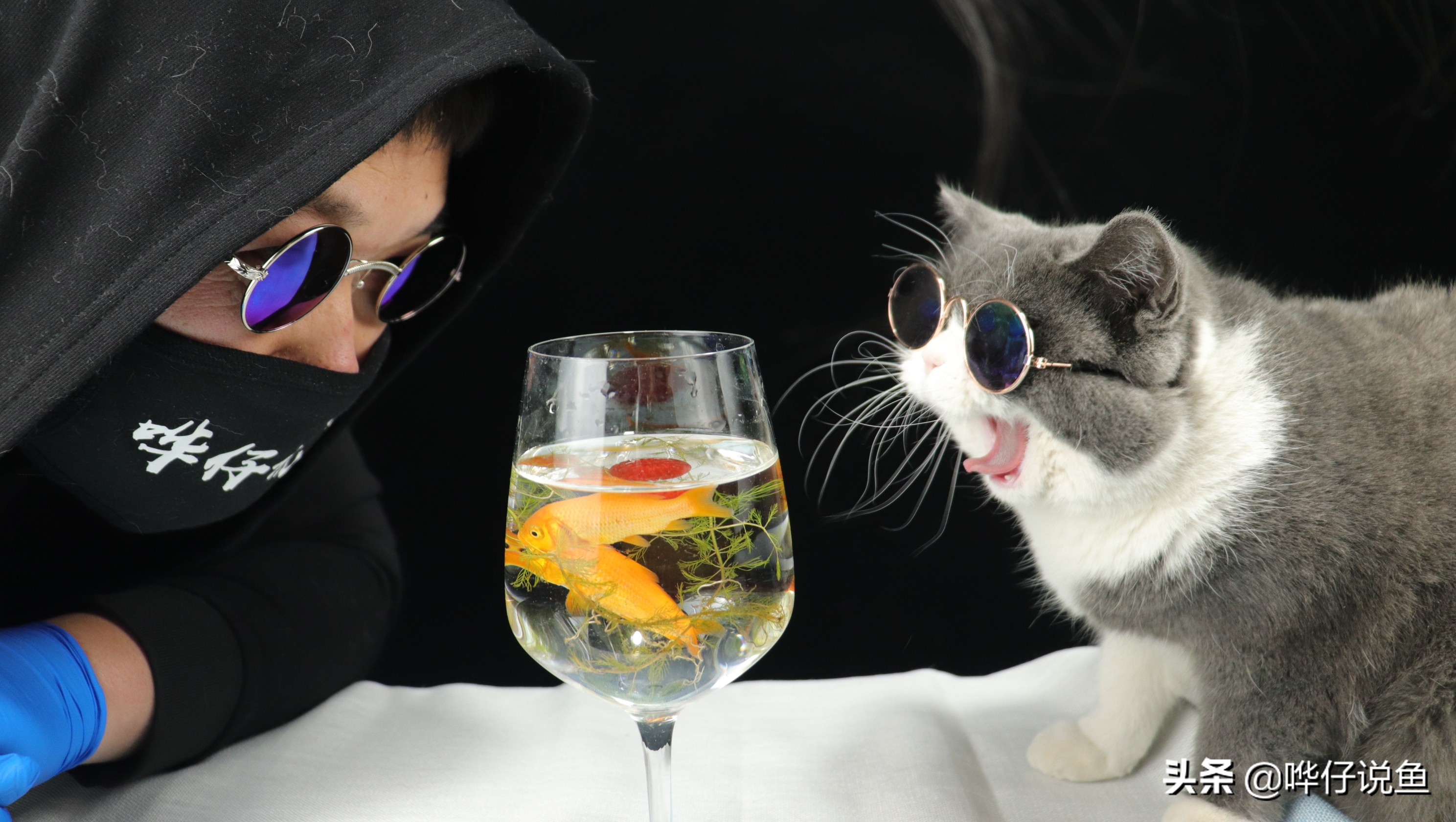 三八女神节活动回顾视频,三八女神节活动合集