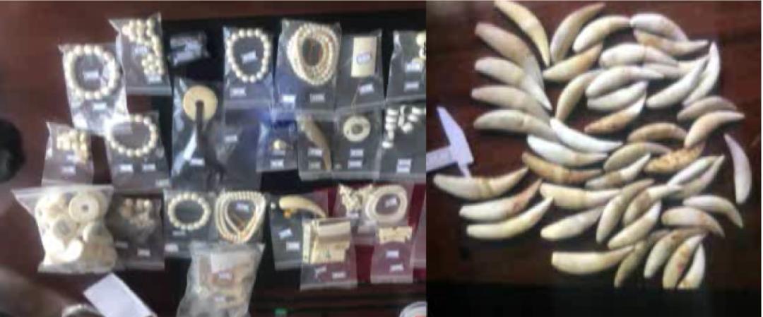 【今日说法】他对妈妈说自己在做海外代购，却不让妈妈知道自己的代购涉嫌犯罪……