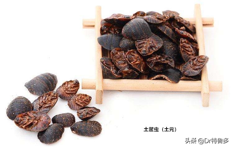 骨折了吃什么草药恢复的快,骨折只愈合一半怎么办