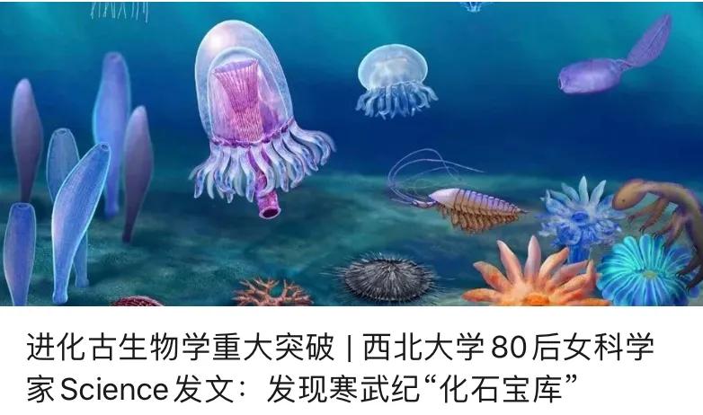 中国最好的西北大学,西北大学的实力究竟如何