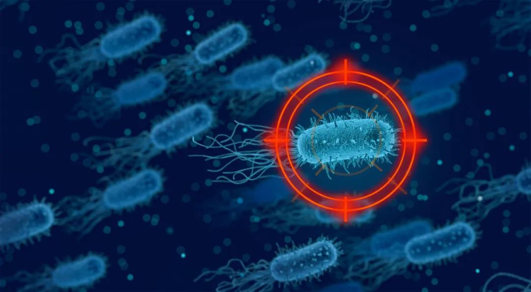 最新胃癌免疫疗法,最新治疗胃癌癌症新药消息