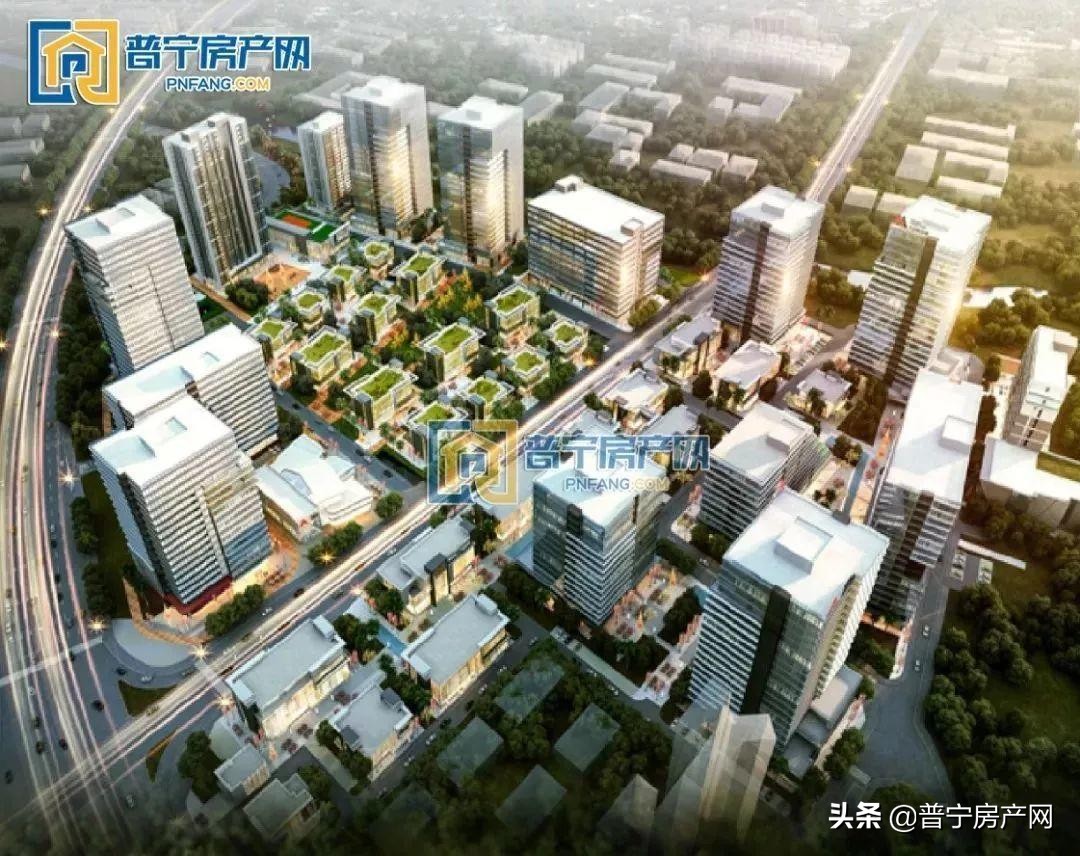 2019,普宁我想对你说,三|建议探索政企合作新模式!