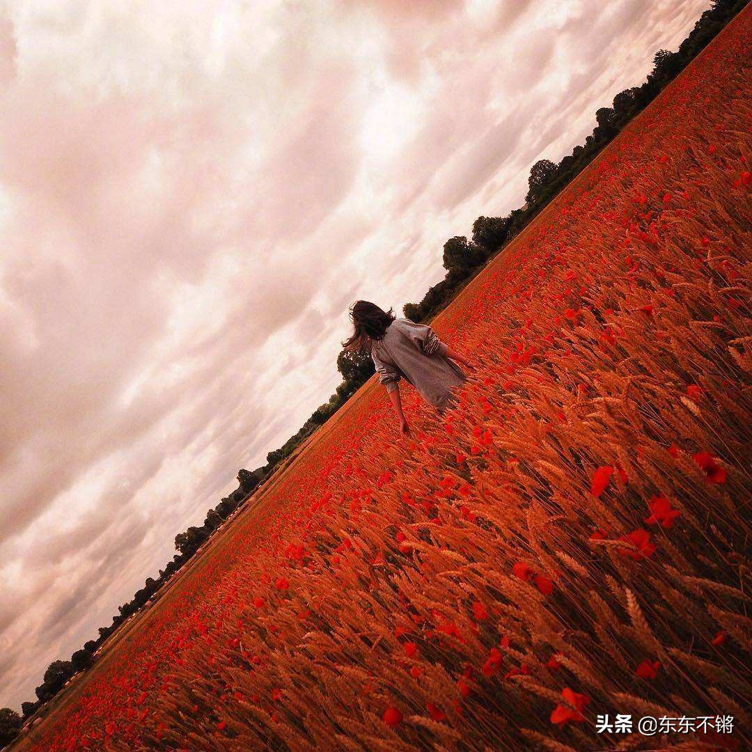 什么叫构图,什么叫构图画画