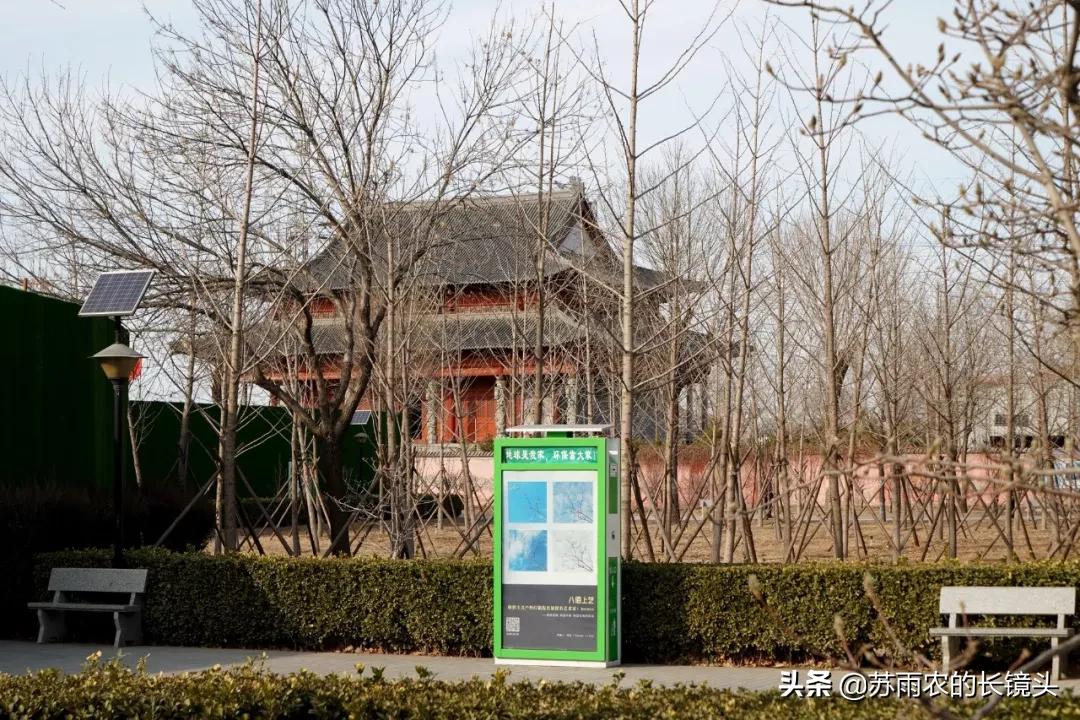 京城闹市寻幽（89）：春节假期中萧瑟的古塔公园