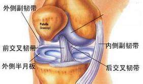 考神十字韧带撕裂不是末日，细数NBA饱受十字韧带折磨的球星