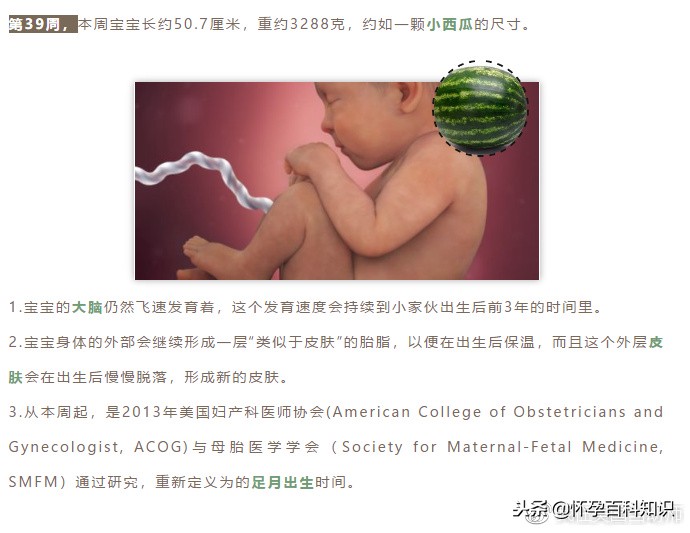 怀孕各个时期胎儿发育过程,怀孕的过程要几天