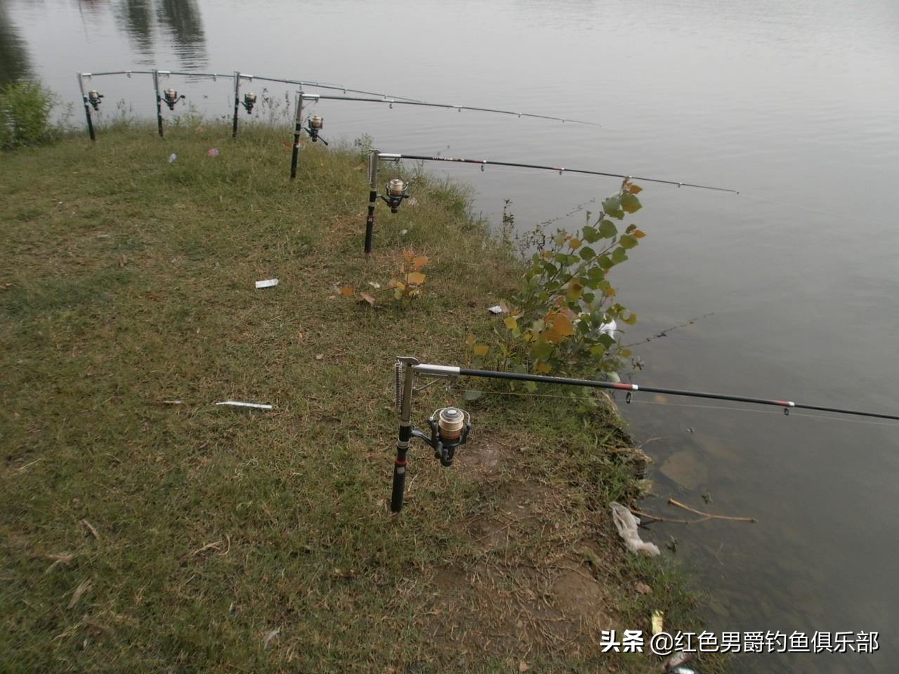 野钓钓大物用什么竿和饵料,手竿钓大鱼饵料怎么做