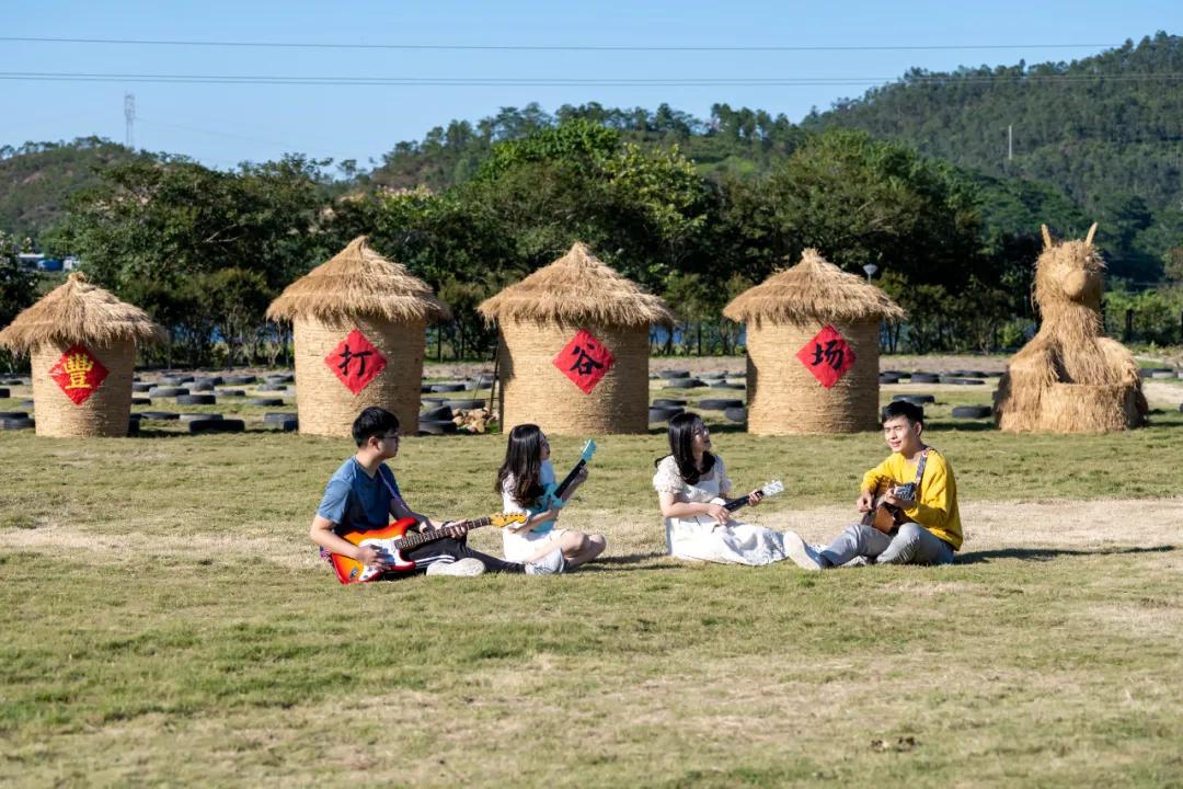 惠阳的稻田,惠阳稻田美景