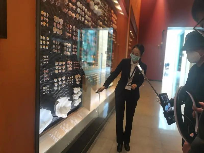 还有人从国外寄来20多只果蝠标本?海淘代购注意了,邮寄蜥蜴、盆景入境,可能会入刑!