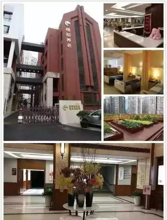 天津临港国际健康城规划,上海临港国际健康城