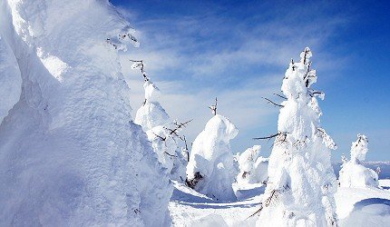 日本藏王山雪怪的最佳观赏期,日本藏王树冰景点