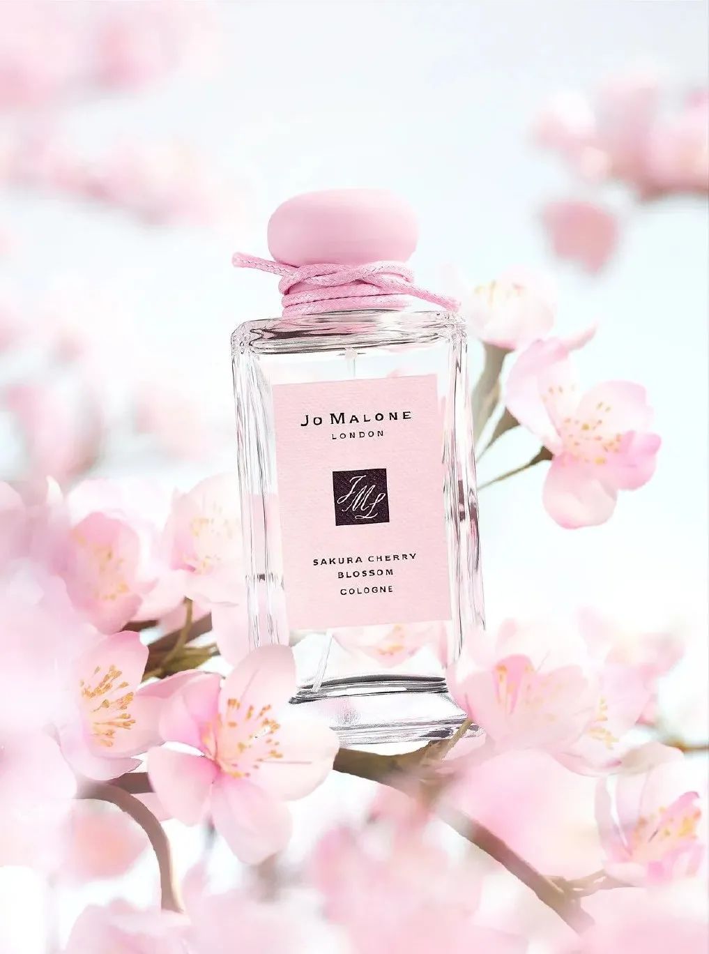 RR·TRENDS|献给多面之美的她