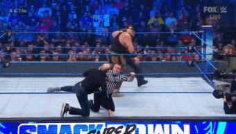 wwesd和raw所有选手,wwesd冠军腰带