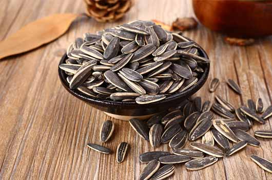 嗑瓜子享受生活的视频,嗑瓜子的不同方式