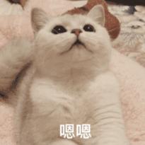 26个英语字母的来源视频讲解,26个英文字母和26个音标