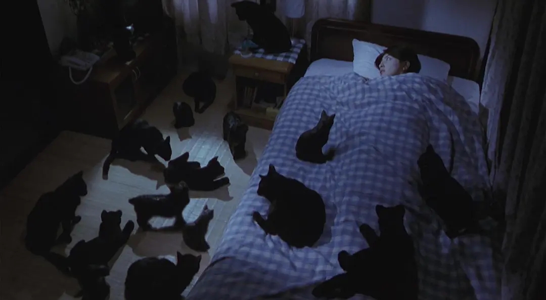 十大恐怖片咒怨,日本恐怖片前十排行榜咒怨