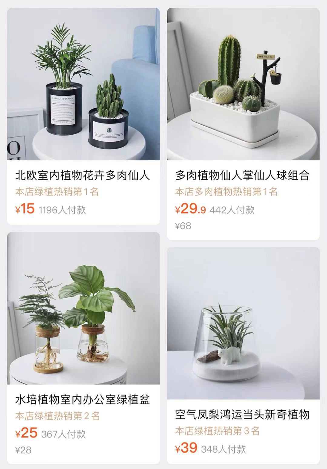 极简风格绿植店铺推荐,适合在卧室养的植物店铺