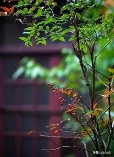 我本来去买*眠药安**，谁知却中了彩票