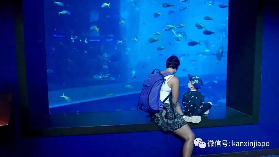 圣淘沙名胜世界完整版,圣淘沙旅游攻略地图大全