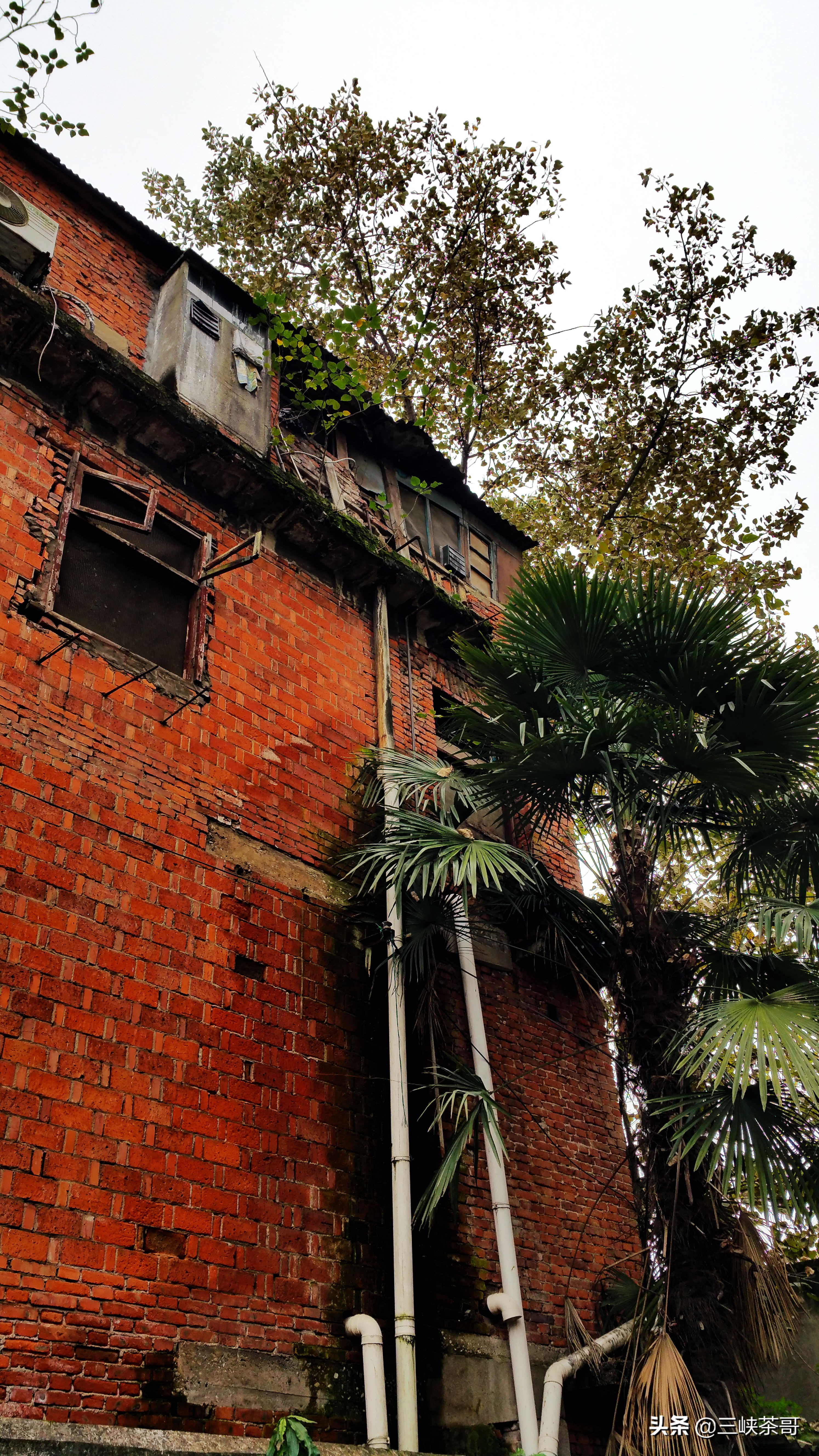 消失的记忆——百年解放路变迁，宜昌版“宽窄巷子”正在走来