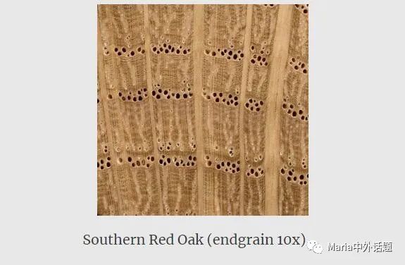 缇庡浗姗℃湪浜у尯,缇庡浗鍖楅儴姗℃湪