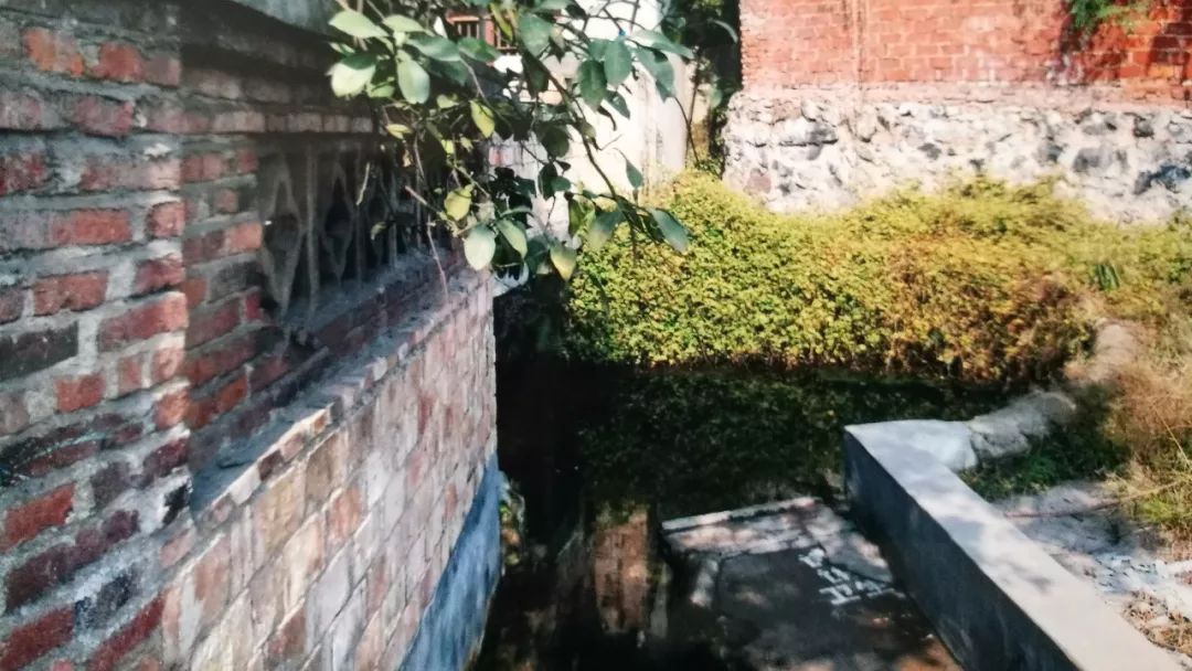 走遍天涯思故乡,走遍天涯是什么歌