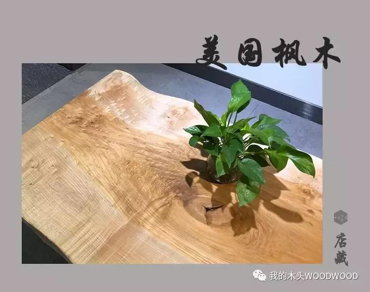 北美硬枫木大板,美国枫木板