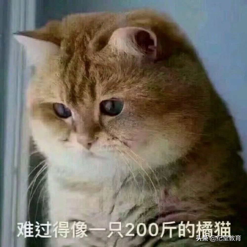 实习生求职信范文10篇,留学生求职简历怎么写比较好