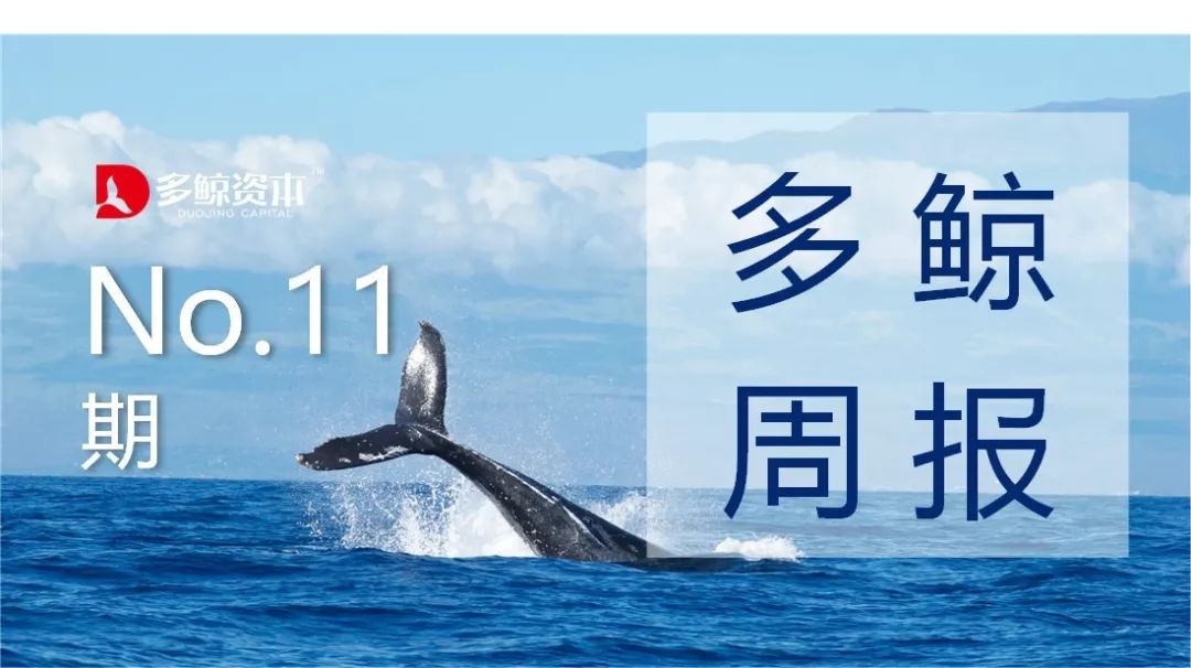 教育周,教育周观察