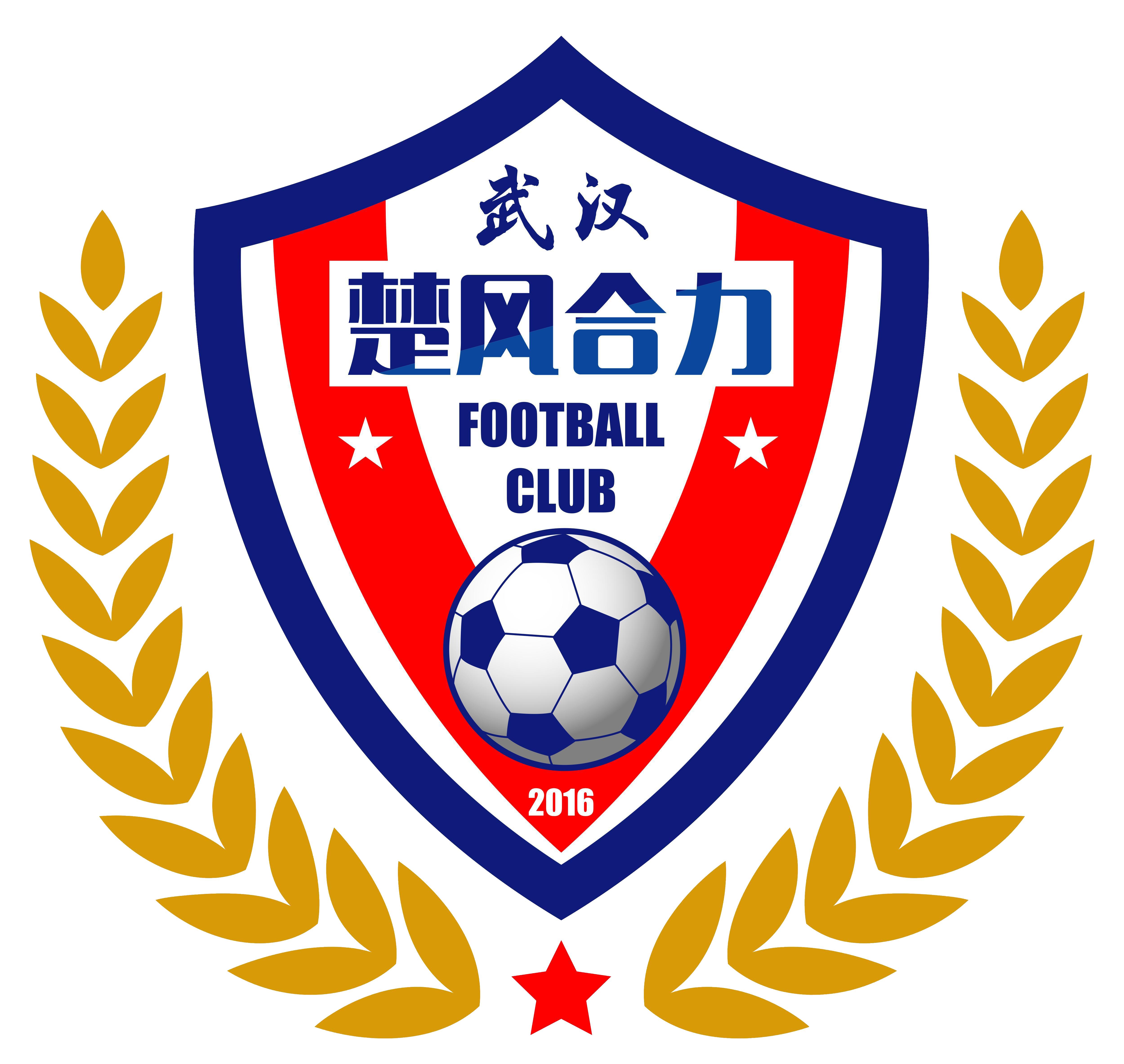 中国足球队历届队徽,中国足球队历年队徽变化