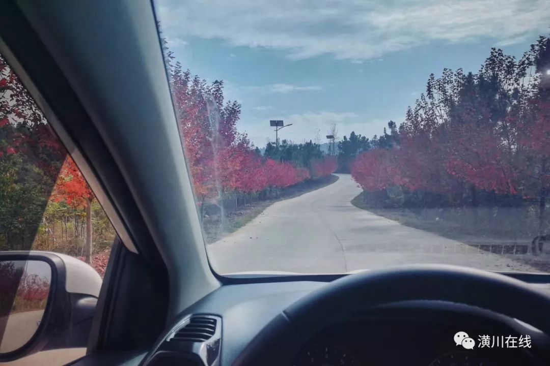 潢川双柳高山,潢川最高峰