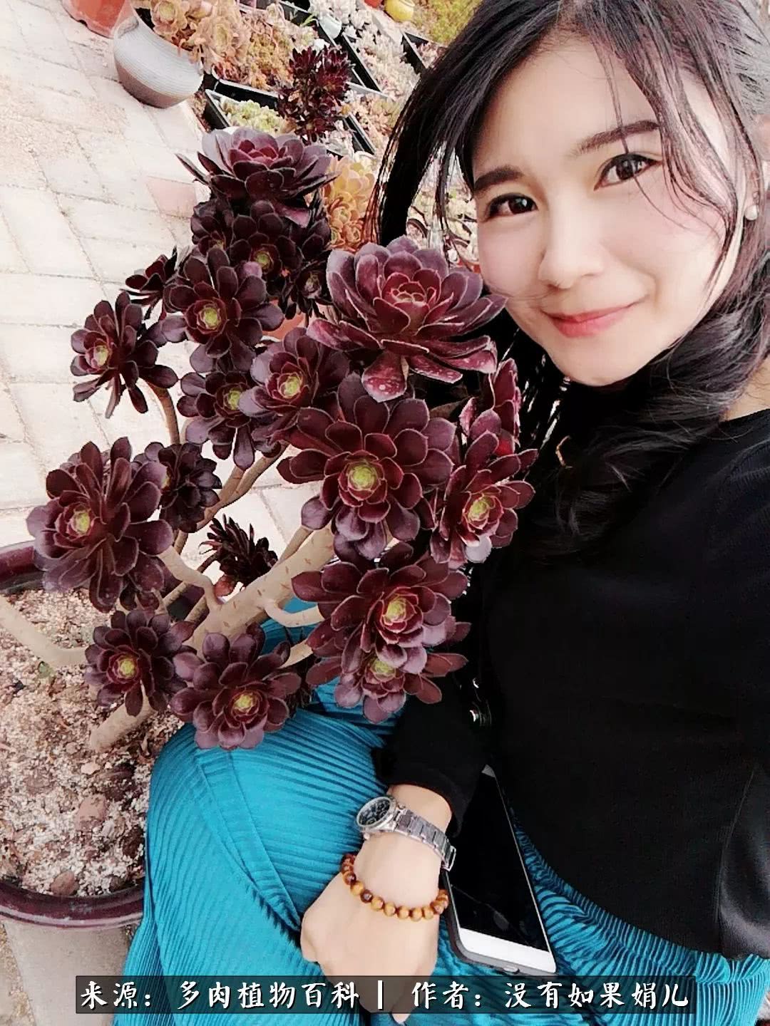 明人不说暗话，我为多肉而来！