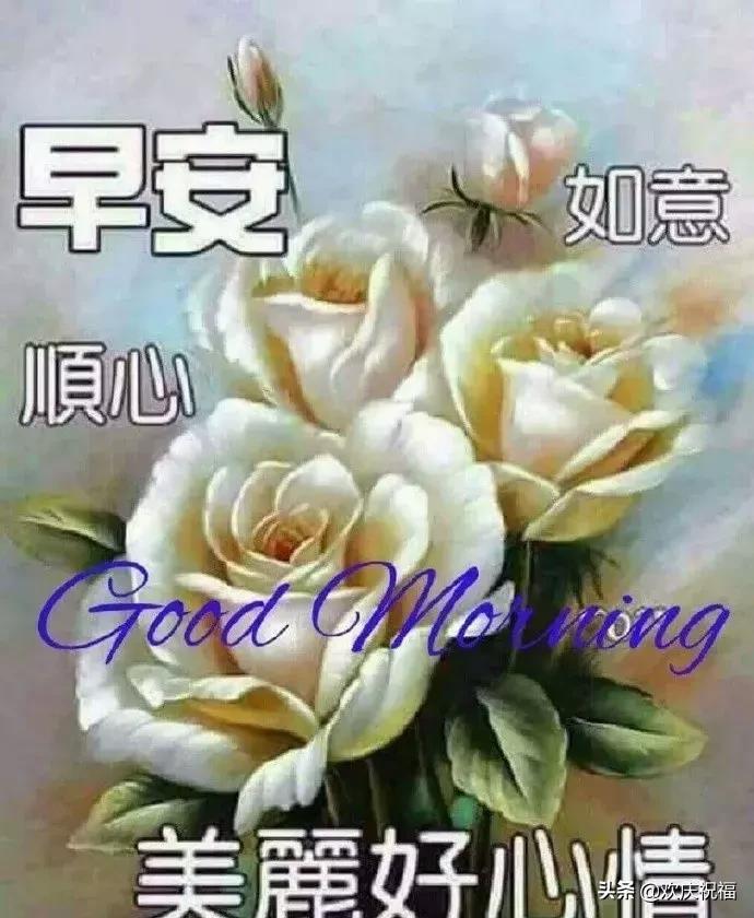 群问候早上好句子图片,微信祝福语早上好简短独特句子
