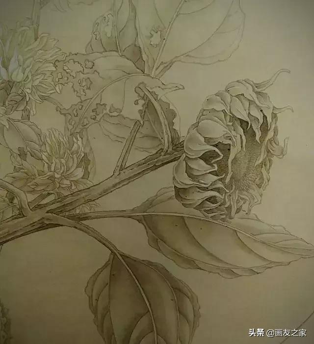 陈松岩工笔白描画全集,陈松岩工笔国画