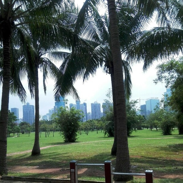 海口悠闲之旅深度体验椰城风情,椰海风情海口