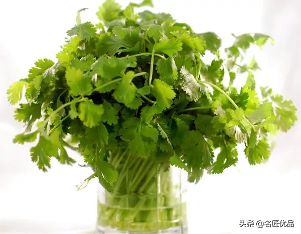 在家怎么无土种菜简单又安全,家庭种菜不用肥料种菜方法