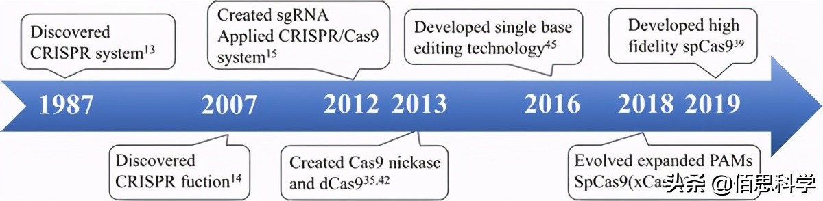 变革癌症治疗crispr技术开辟新路,crispr抗癌新疗法