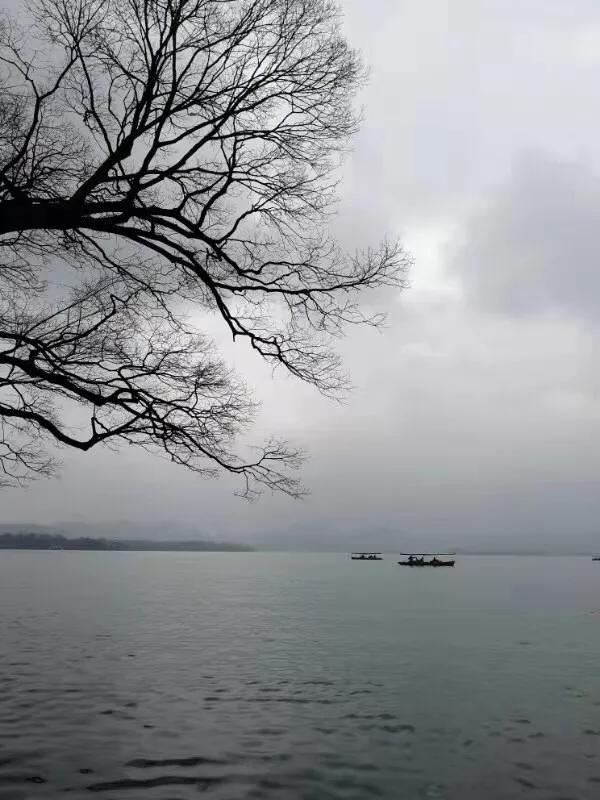 手拍世界近期作品,手拍世界微信公众号