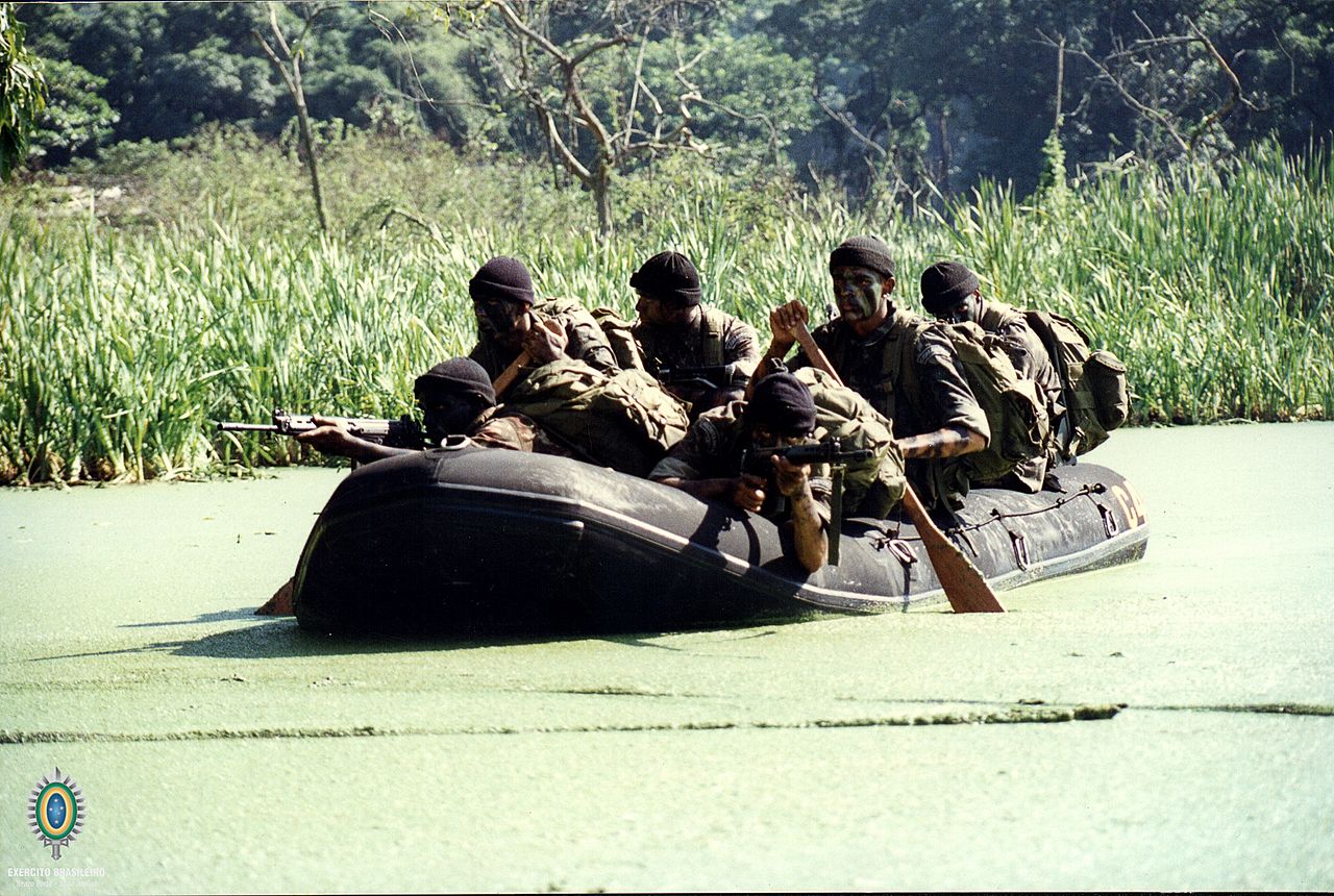巴西军衔图片,各国军衔标识俄罗斯