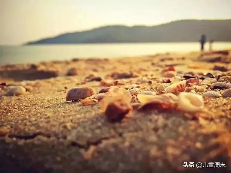 惠州海边旅游攻略最新,一言不合就旅行