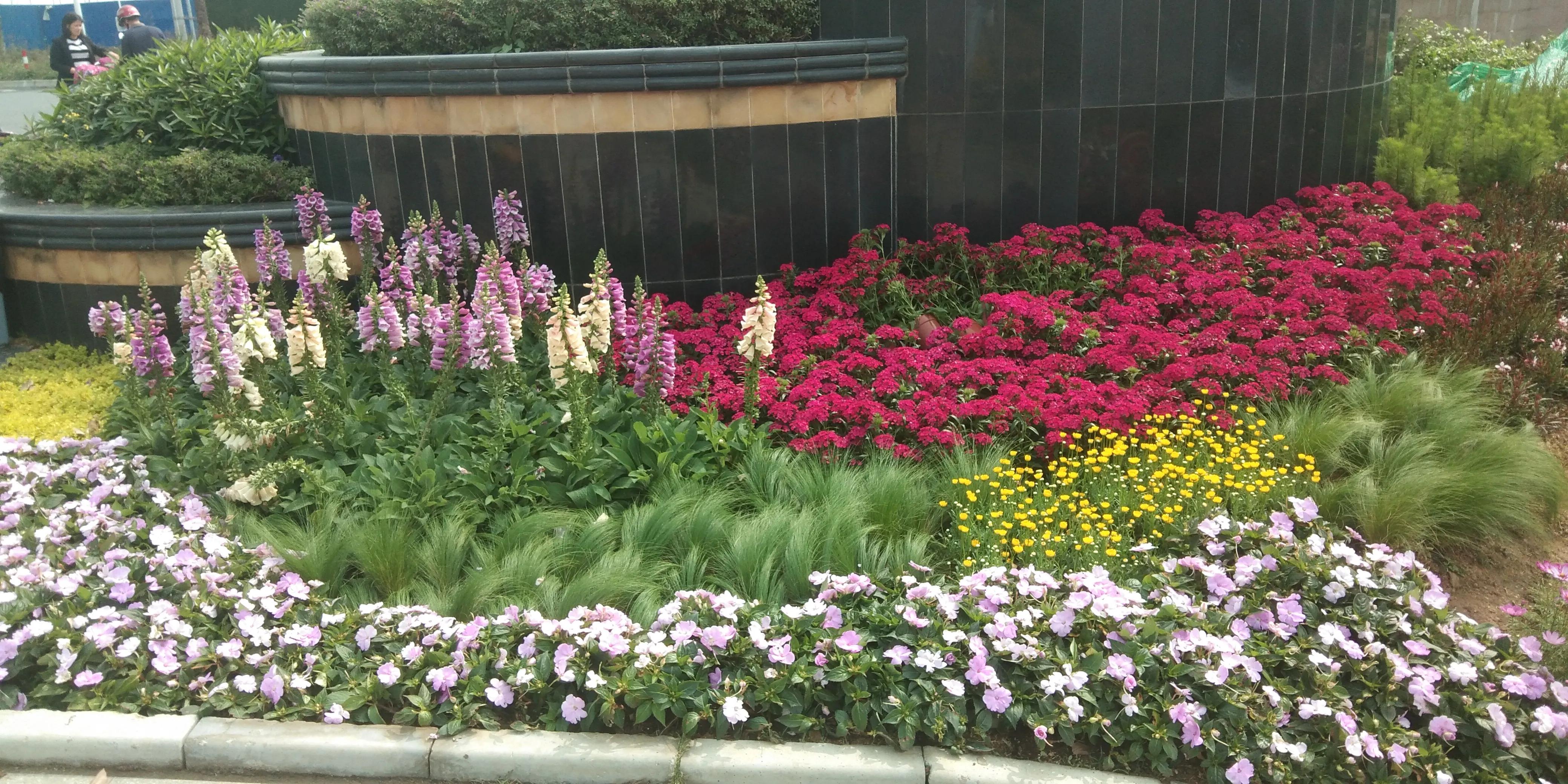 佛山高明怎样,佛山高明区很差吗