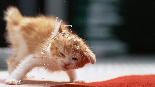 华为mate20pro如何变快,华为mate20pro慢动作怎么拍