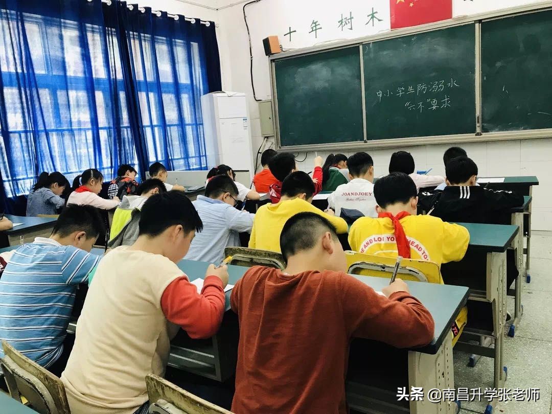 南昌百树外国语学校高新校区,南昌百树外国语学校