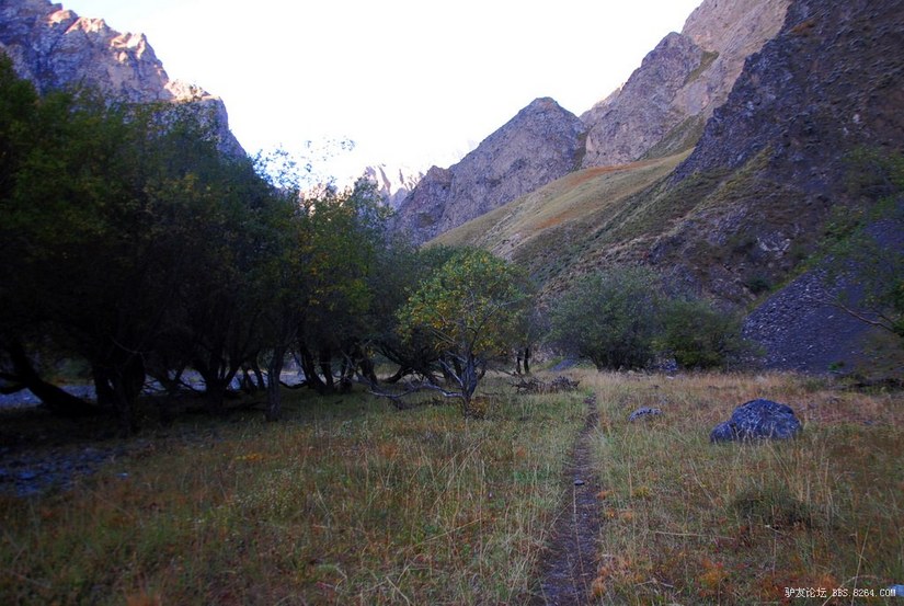 狼c调简谱教唱,狼c