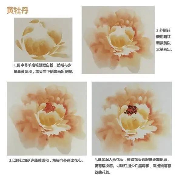 学习写意牡丹画的方法,学习写意牡丹画的步骤