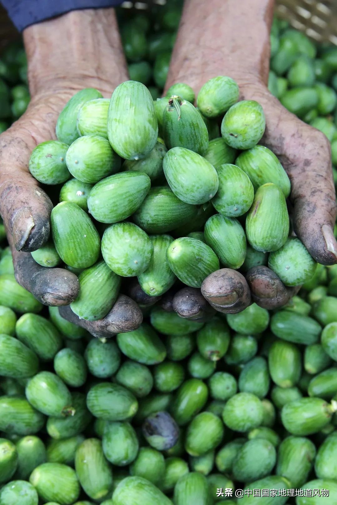 浙江诸暨几线城市,诸暨属于浙江哪个城市